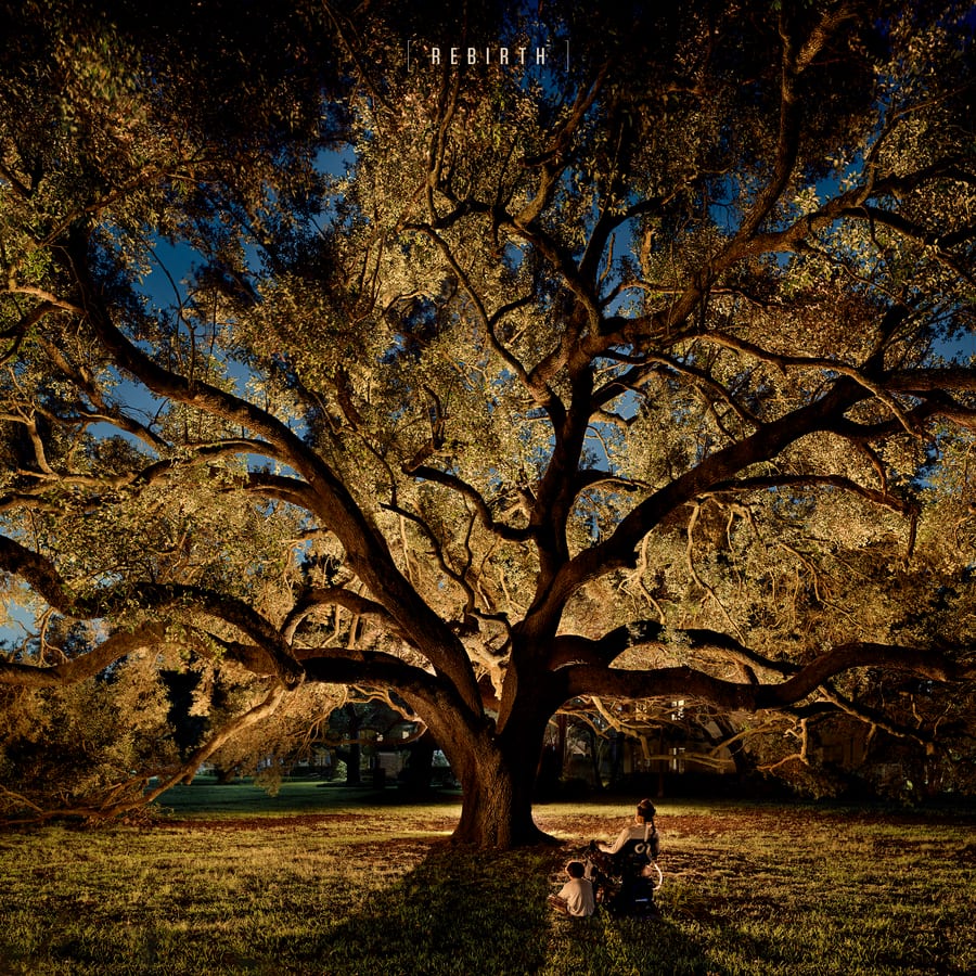 REBIRTH album cover: a night photograph of a vast oak lit warmly from below, its branches filling the frame against patches of blue sky. Beneath it on the grass, Steve Gleason sits in his wheelchair beside his young son. The title REBIRTH is set in brackets at the top.